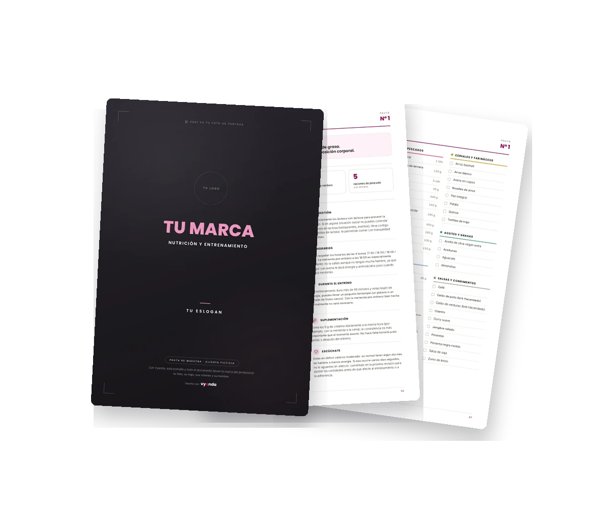 Varias páginas de la pauta en PDF, con la marca del profesional, colocadas en abanico.